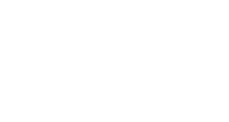Ferraz & Figueiredo