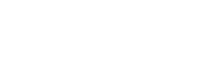 Ferraz & Figueiredo